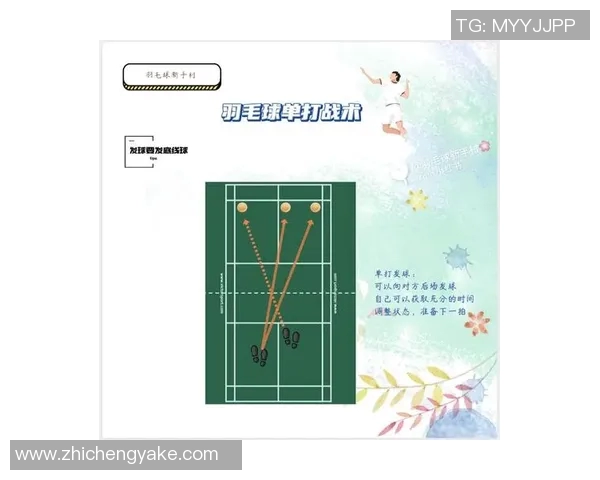 南京羽毛球队的战术演变与转换体系探讨