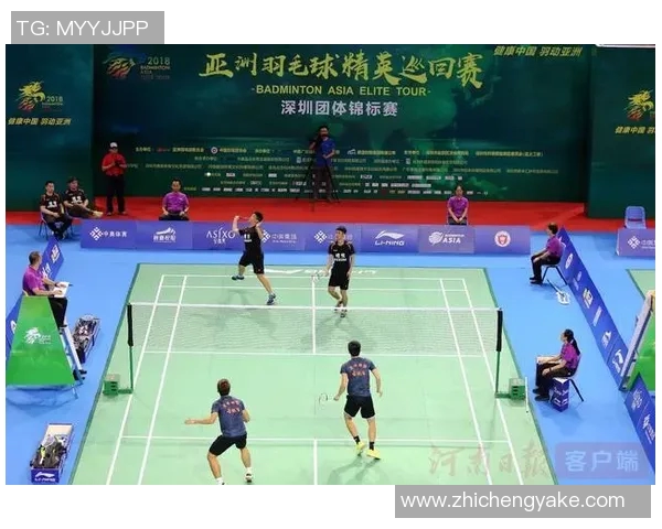 南京羽毛球队精英赛精彩配合分析与表现评估