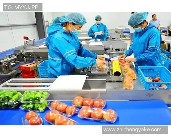 南京羽毛球队运营革新探索:从传统到现代的转型之路 南京羽毛球队运营革新探索:从传统到现代的转型之路