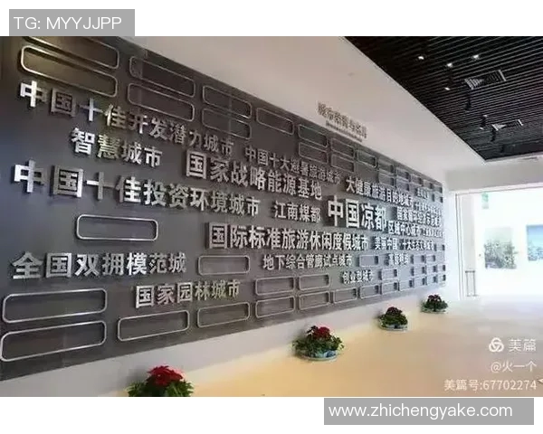 南京足球队实力分析：历史成就与未来展望的深度剖析