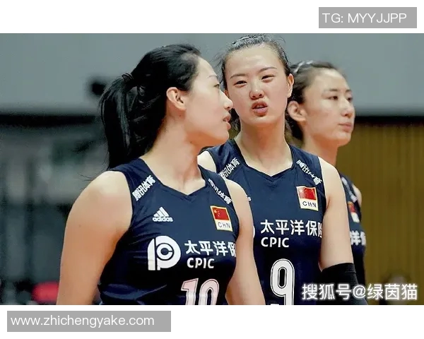 成都排球队以55分领跑世界杯积分榜展现强劲实力与团队合作精神