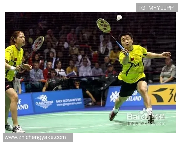 武汉羽毛球队区域防守战术解析与实战应用探讨