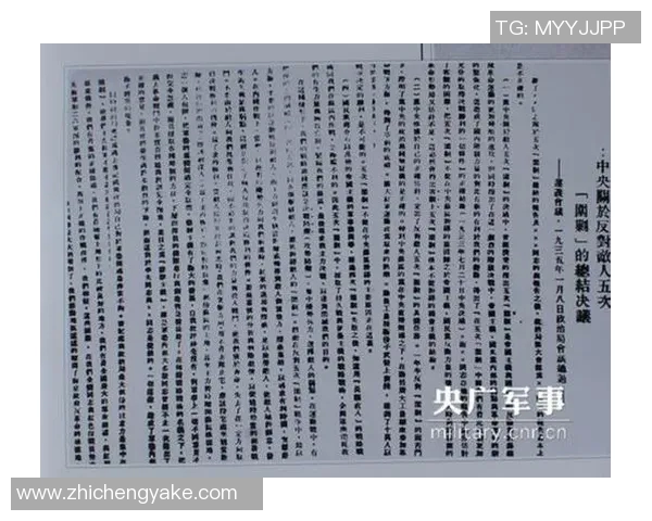 深圳排球队阵地战体系解析与战术创新探讨 深圳排球队阵地战体系解析与战术创新探讨